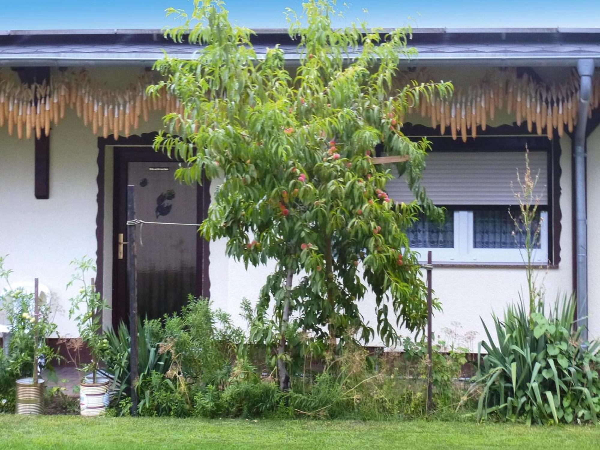 Bungalow In Luebben An Der Spree Exterior photo